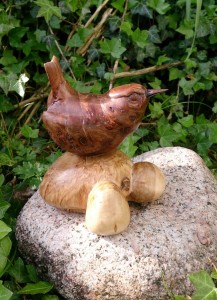 Wren 1